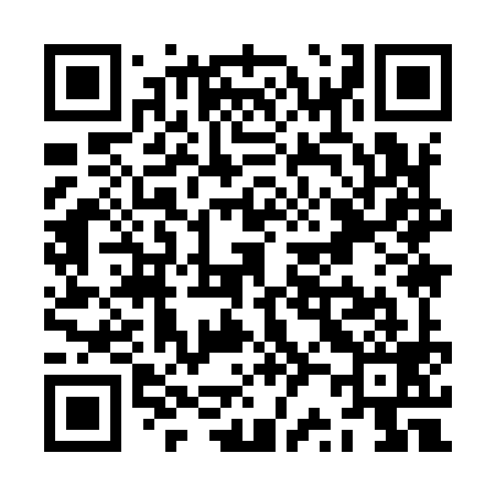 QR code for ZR9999