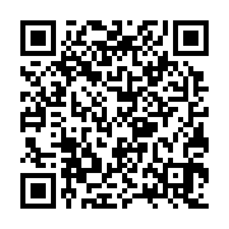QR code for ZRG303