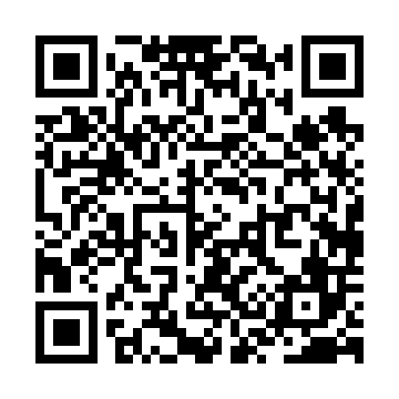 QR code for ZS0606