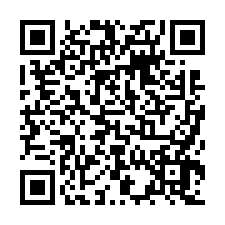 QR code for ZS06668