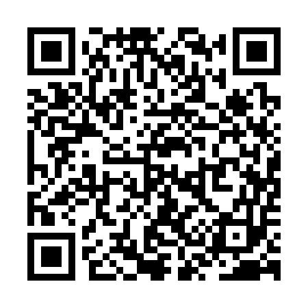 QR code for ZS1353