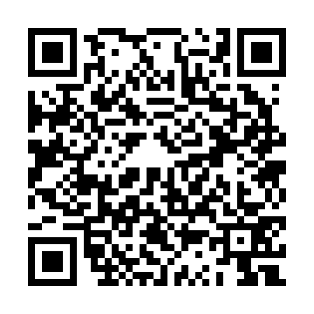 QR code for ZS32733