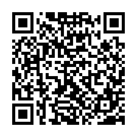 QR code for ZSF306