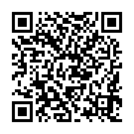 QR code for ZSI993