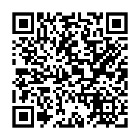 QR code for ZT0339