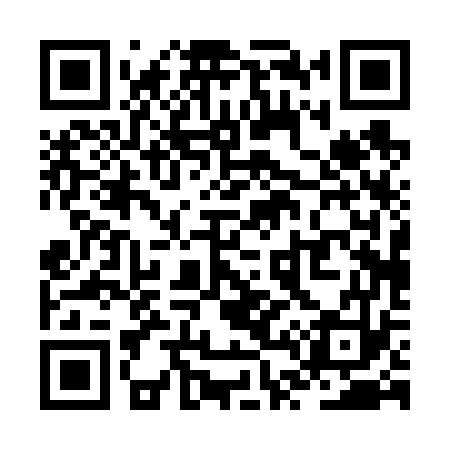 QR code for ZT0673