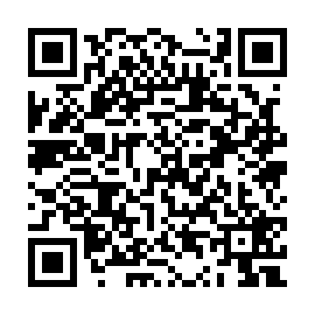 QR code for ZT11292