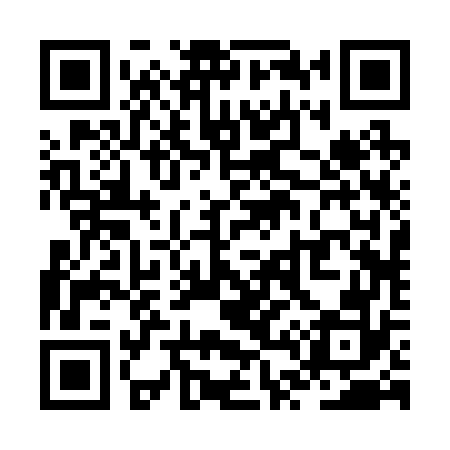 QR code for ZT2272