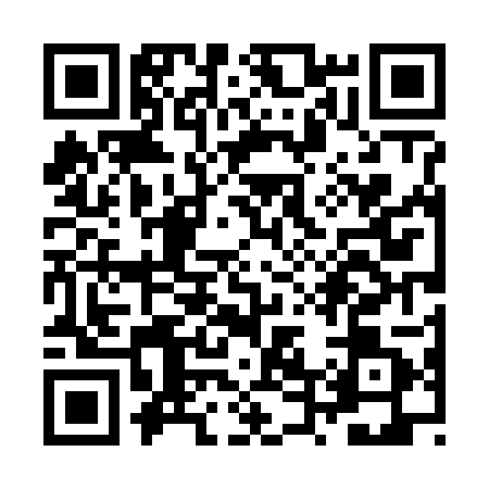 QR code for ZT46013