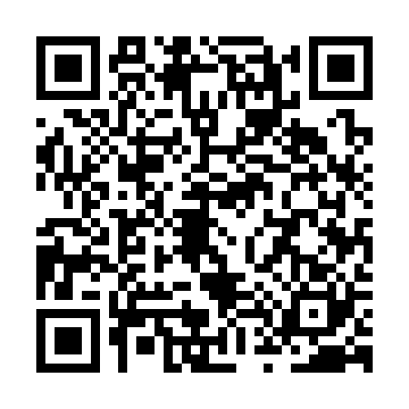 QR code for ZT53206