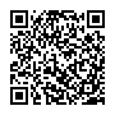 QR code for ZT6367