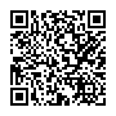 QR code for ZT6996