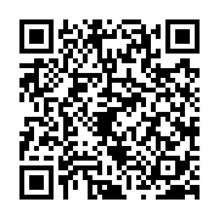 QR code for ZT87381