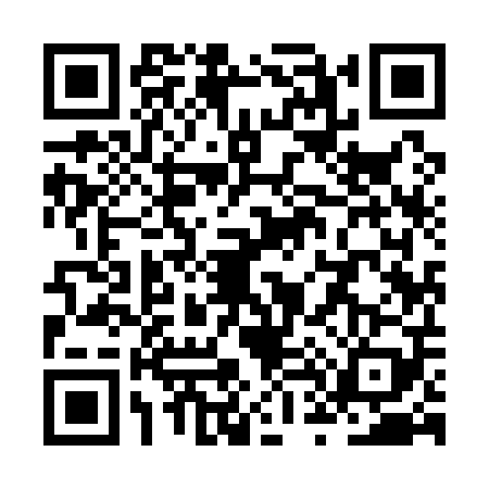 QR code for ZT91095