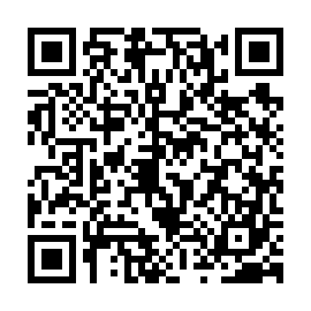 QR code for ZT96673
