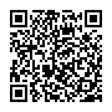 QR code for ZT9998