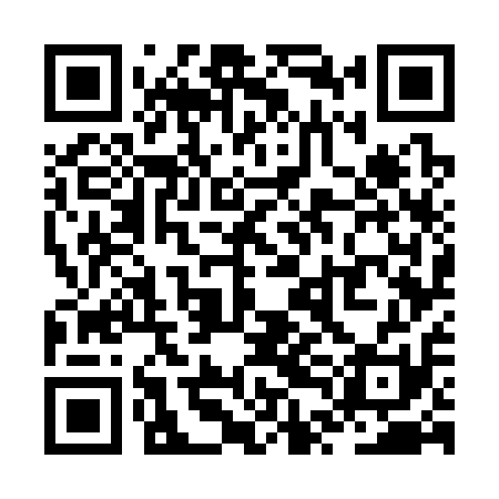QR code for ZTG311