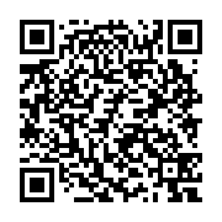 QR code for ZTH339
