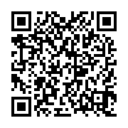 QR code for ZTJ911
