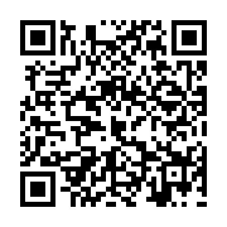QR code for ZTL339