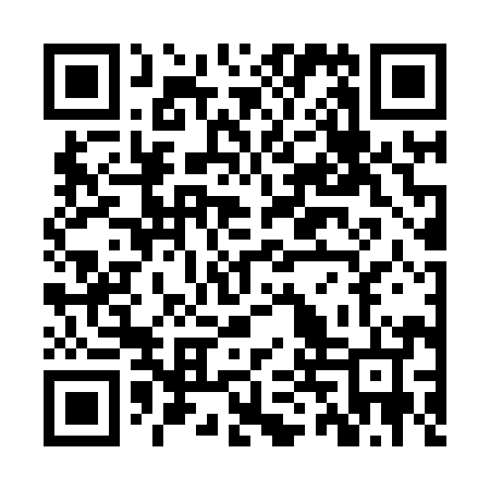 QR code for ZTR894