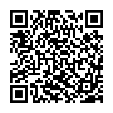 QR code for ZTX213