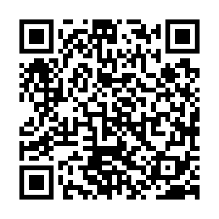 QR code for ZTX779