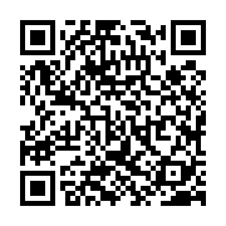 QR code for ZTZ529