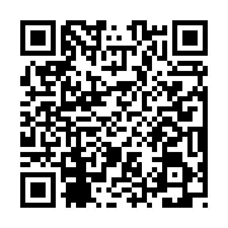 QR code for ZU38460