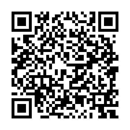 QR code for ZU86919