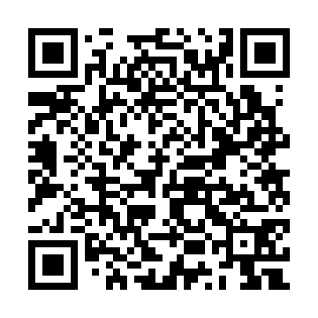 QR code for ZUB370