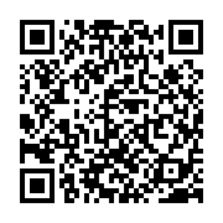 QR code for ZUI119