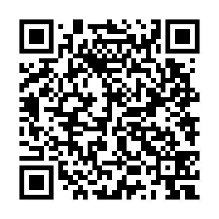QR code for ZUN739