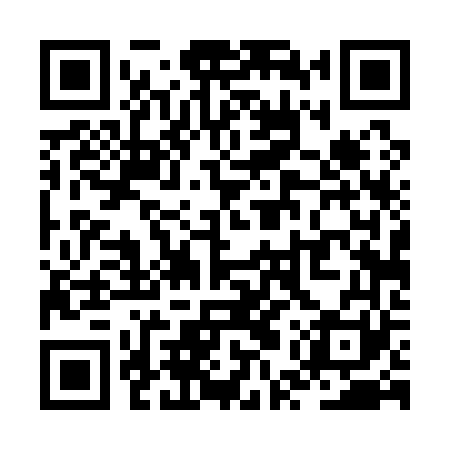 QR code for ZUT161