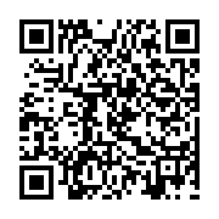 QR code for ZUV317