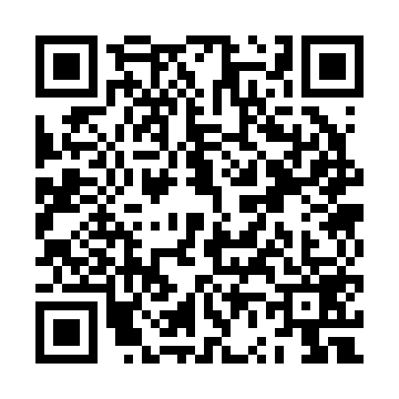 QR code for ZV32596