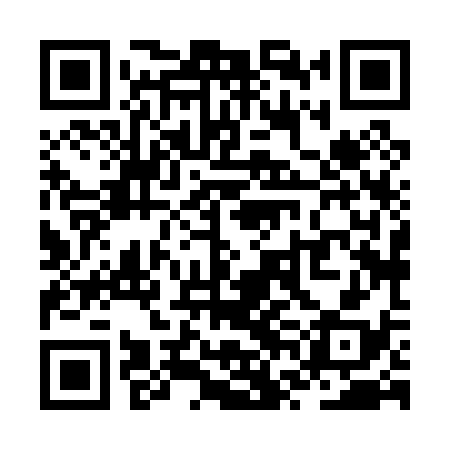 QR code for ZVH038