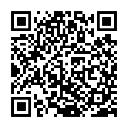 QR code for ZVI641