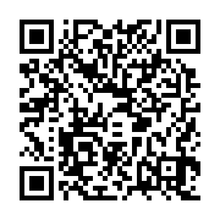 QR code for ZVJ333