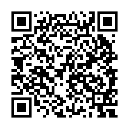 QR code for ZVN291