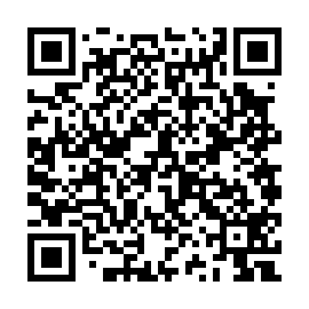 QR code for ZVV019