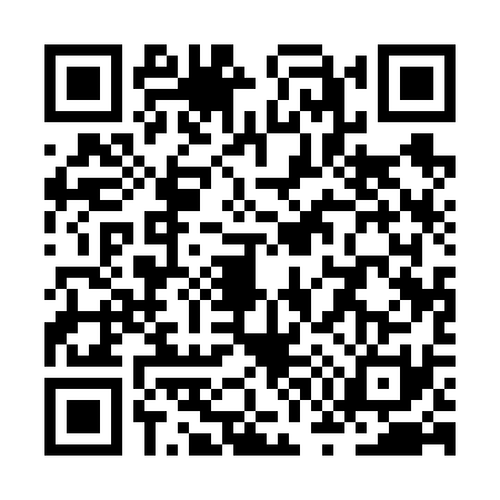 QR code for ZW16313