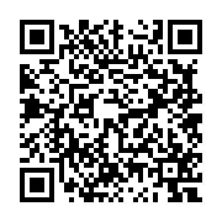QR code for ZW28173