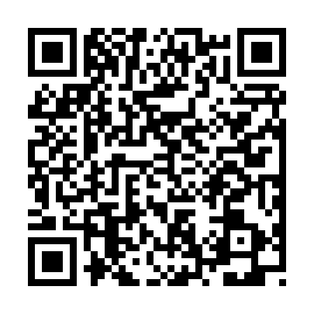 QR code for ZW28538