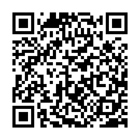 QR code for ZW4958