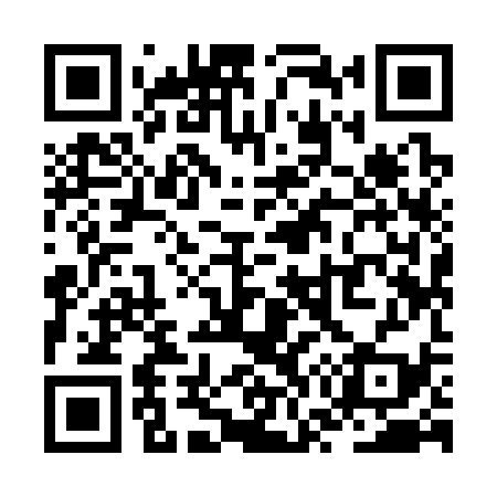 QR code for ZW9339