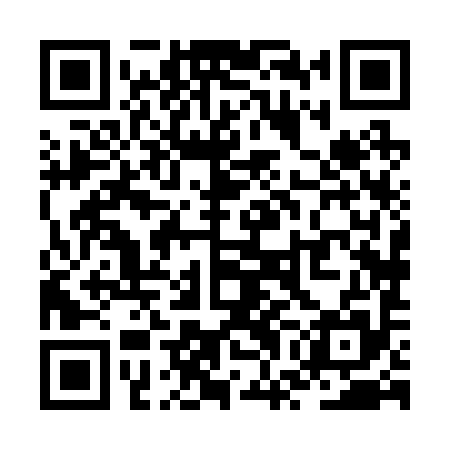 QR code for ZWH295