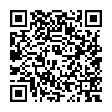 QR code for ZX09591