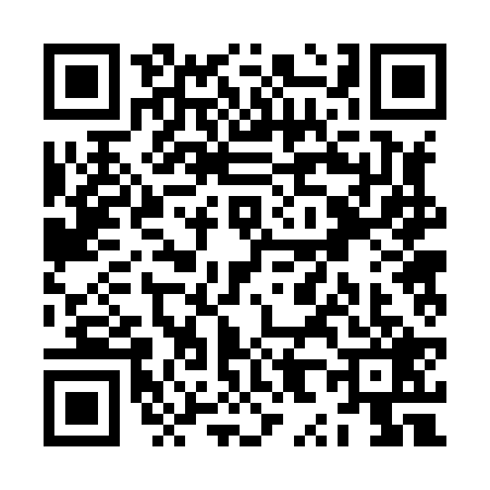 QR code for ZX28295