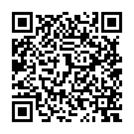 QR code for ZX38416